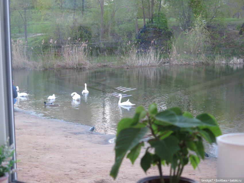 Ханами для Алёнка "Мир" — Советские винтажные куклы (СССР): Ленигрушка