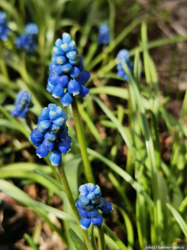 Весна... Самое нежное время года