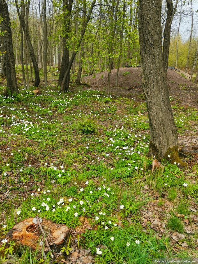 Весна... Самое нежное время года (фото 4)