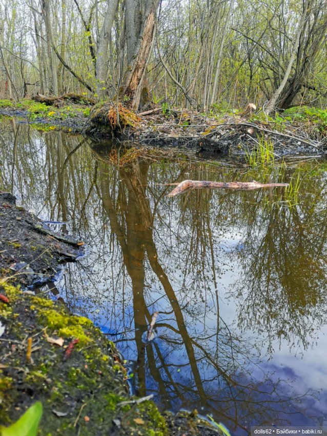Весна... Самое нежное время года (фото 2)