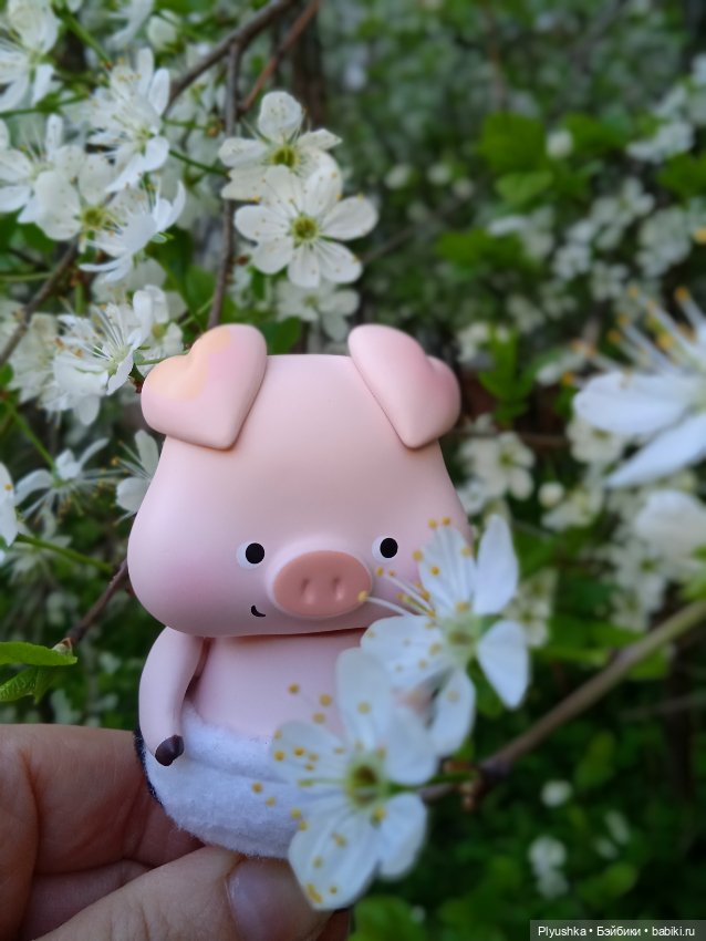 Знакомство с Хрюнделем — Куклы с Алиэкспресс (Aliexpress): Китайские шарнирные (фото 4)