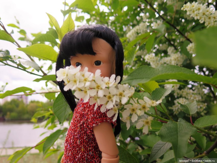 И снова Cappuccino Corolle (фото 8)