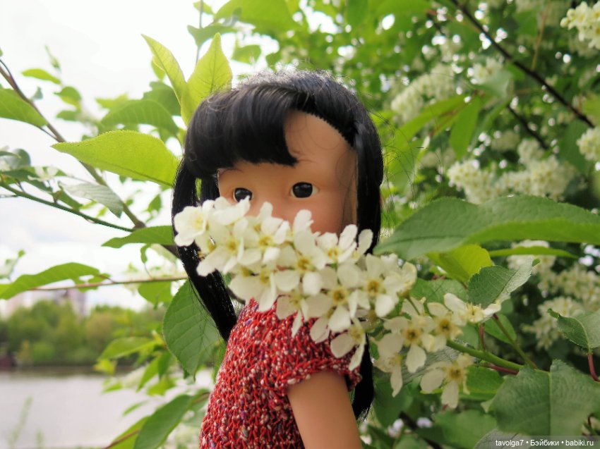 И снова Cappuccino Corolle (фото 9)