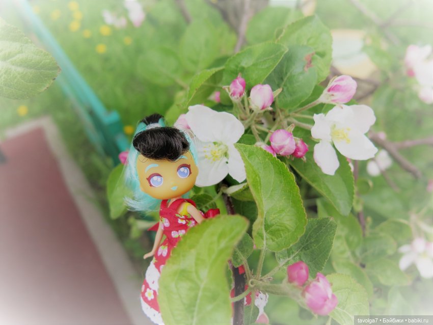 Необычная пересадка маленьких кукол (фото 10)
