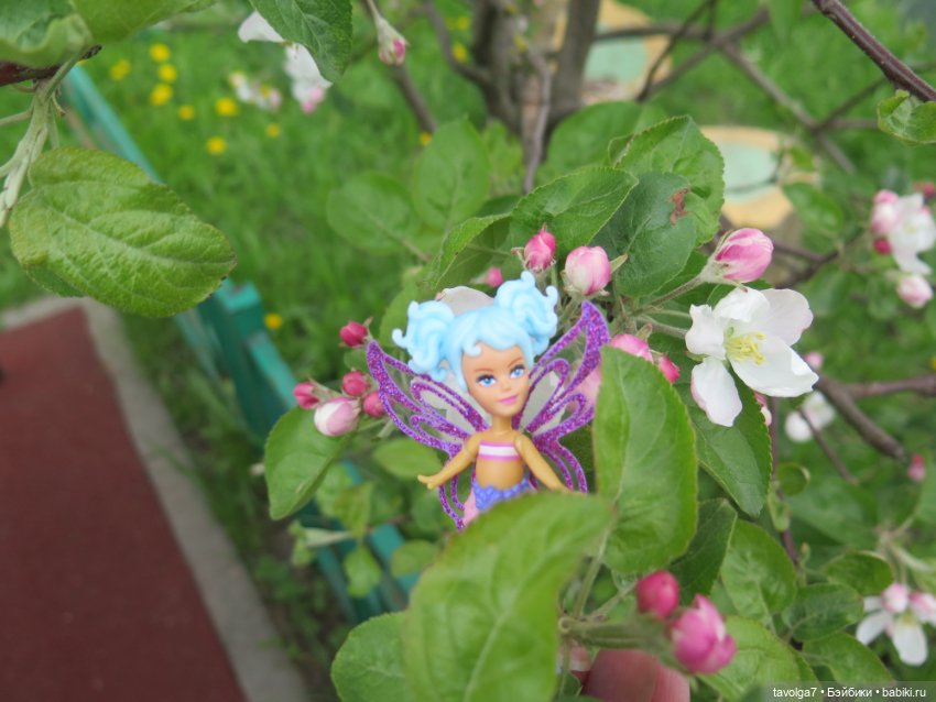 Необычная пересадка маленьких кукол (фото 5)