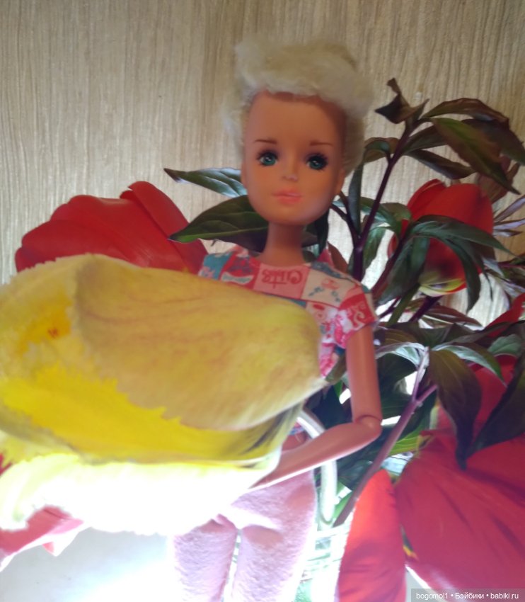 Просто фото с цветами — Аналоги Барби и куклы 1/6: клоны 90 (фото 6)