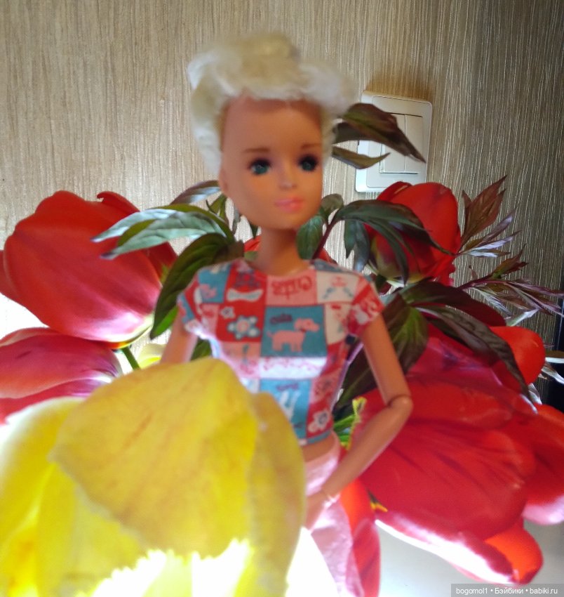 Просто фото с цветами — Аналоги Барби и куклы 1/6: клоны 90 (фото 3)