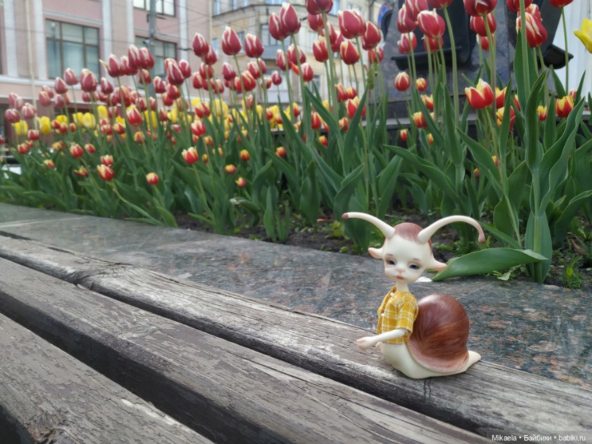 Один мой день с Улитосиком (фото 4)