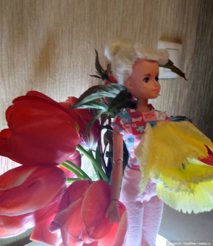 Просто фото с цветами — Аналоги Барби и куклы 1/6: клоны 90 (фото 7)