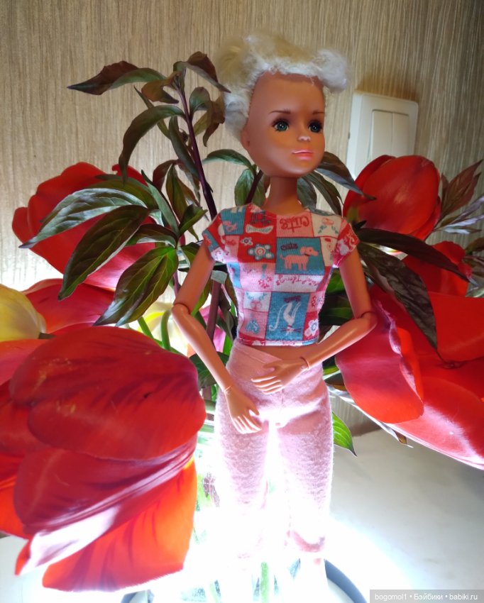 Просто фото с цветами — Аналоги Барби и куклы 1/6: клоны 90
