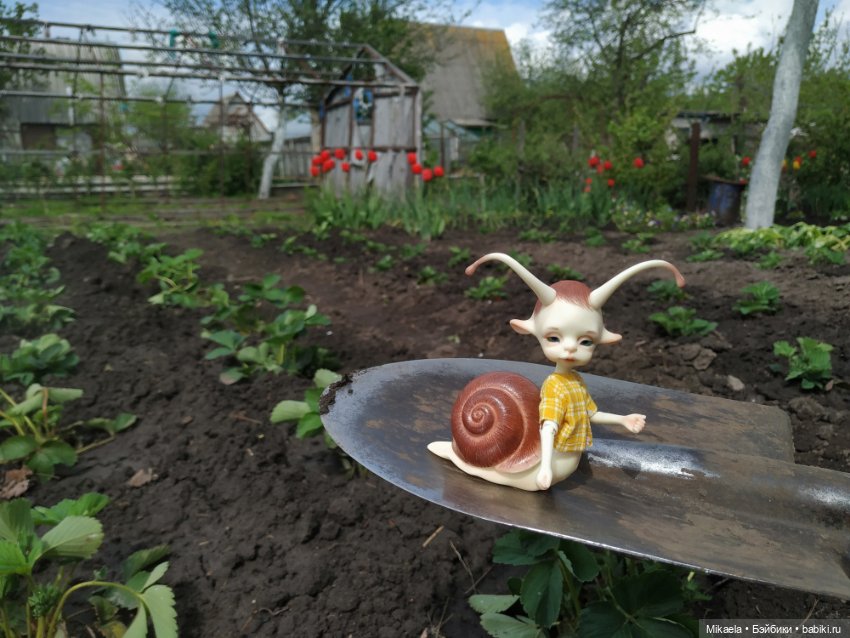 Один мой день с Улитосиком (фото 7)