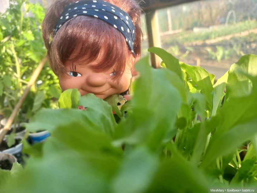 Веселые картинки. "Помощницы" (фото 4)