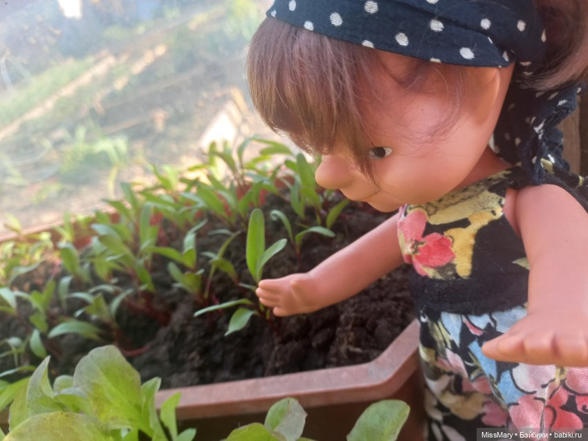 Веселые картинки. "Помощницы" (фото 3)