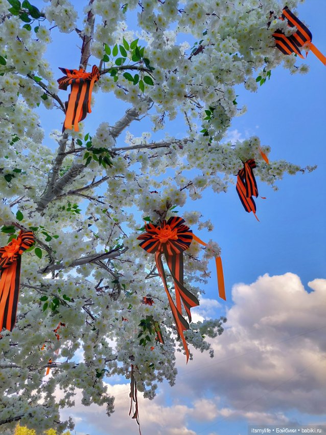 С Днём Великой Победы! ❤️🕊 (фото 7)