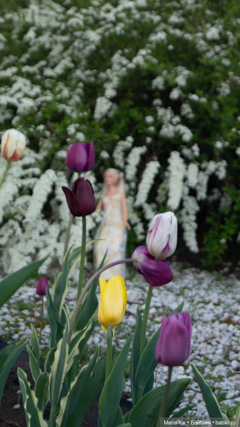 В тот месяц май...часть первая