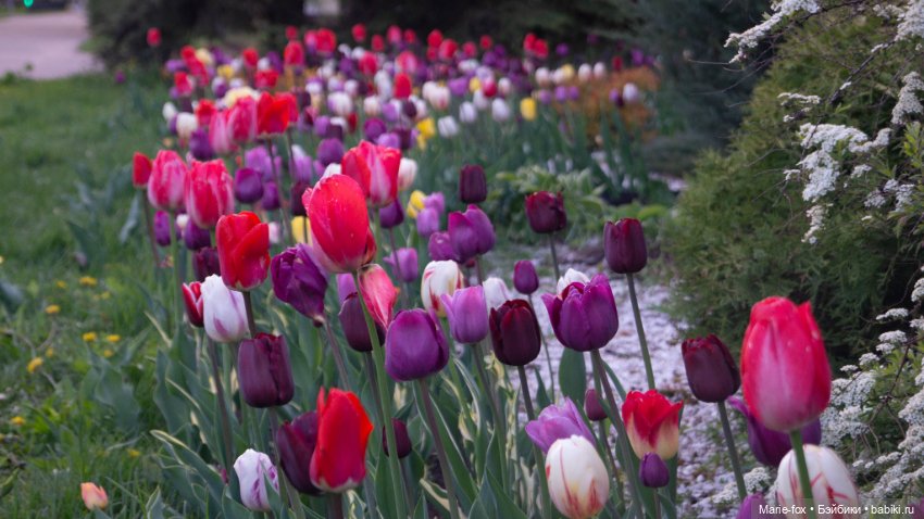 В тот месяц май...часть вторая