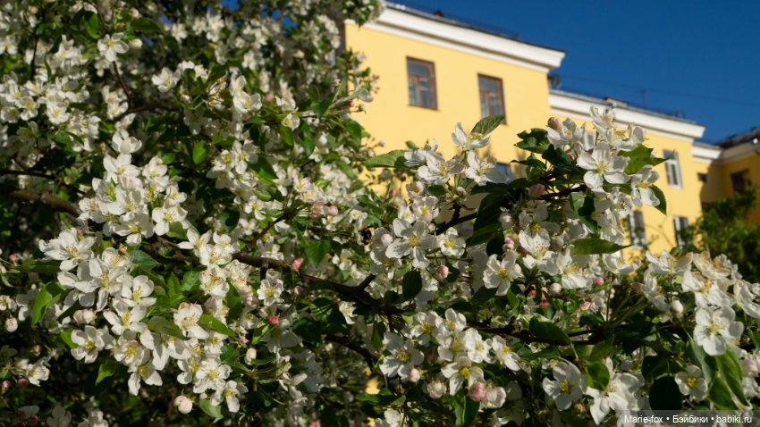 В тот месяц май...часть первая