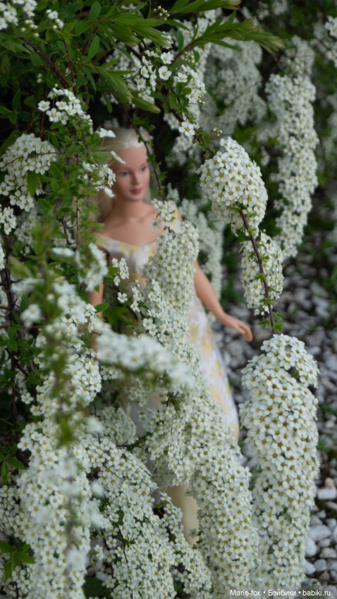 В тот месяц май...часть первая