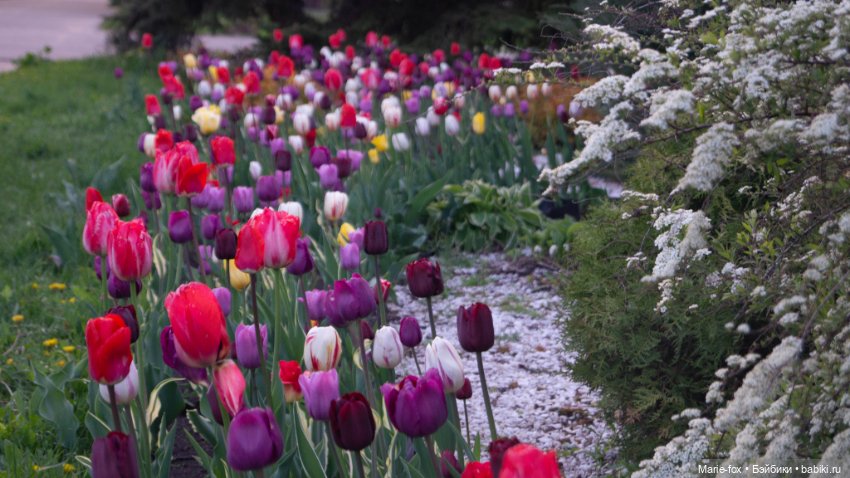 В тот месяц май...часть вторая