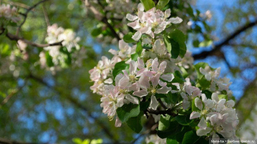 В тот месяц май...часть первая
