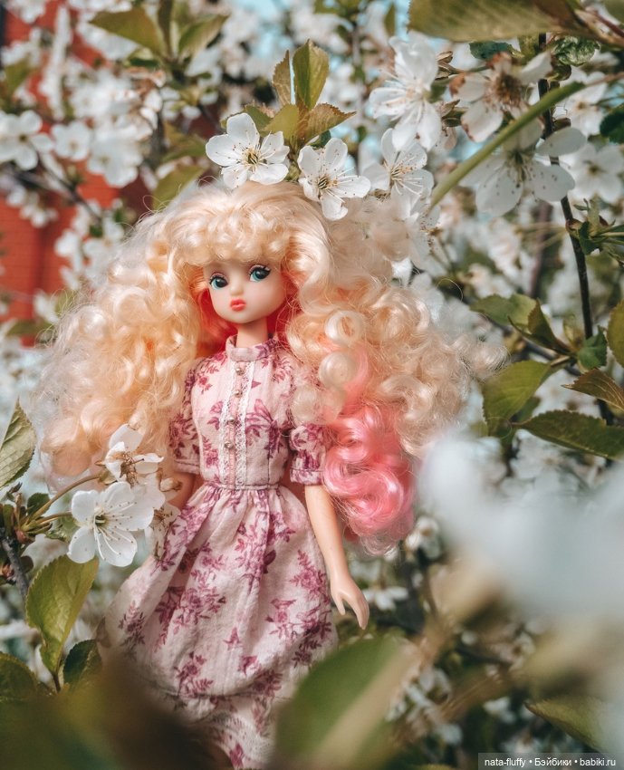 Кэнди и цветущие вишни