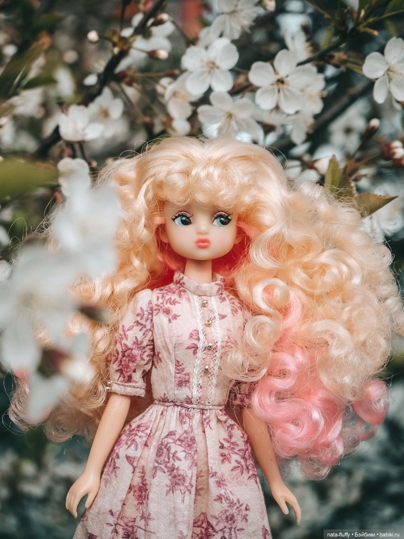 Кэнди и цветущие вишни — Азиатские виниловые куклы (разное): Китай (фото 2)