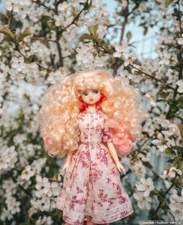 Кэнди и цветущие вишни — Азиатские виниловые куклы (разное): Китай (фото 3)