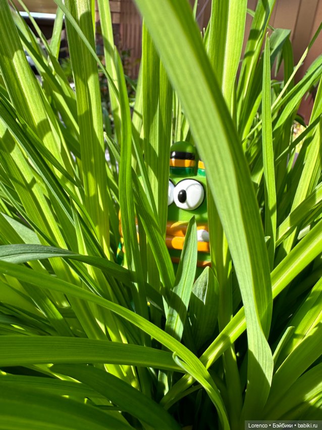 С Доброй Утрой — Игровые куклы разных производителей (Разное): редкие бренды (фото 5)