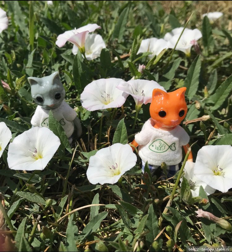 Котики от Wonder Frog — Фигурки Studio (фото 10)