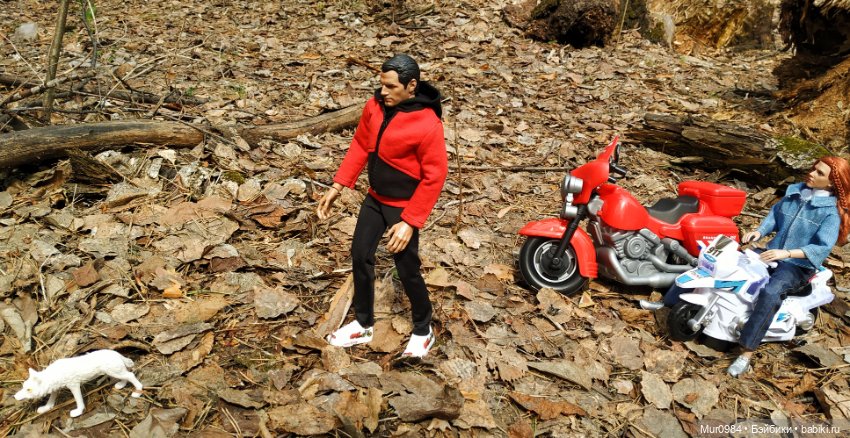 Для Фоточетверга - наш случай на дороге (фото 5)