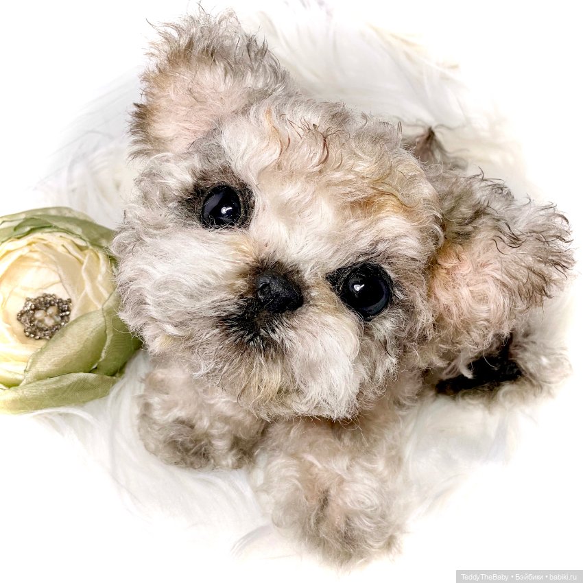 Бузя🐶 — Реалистичные игрушки и звери (Натюр): собаки