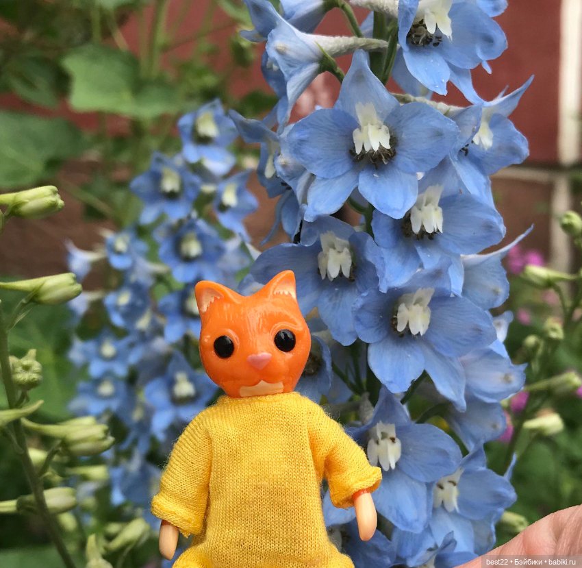 Котики от Wonder Frog — Фигурки Studio