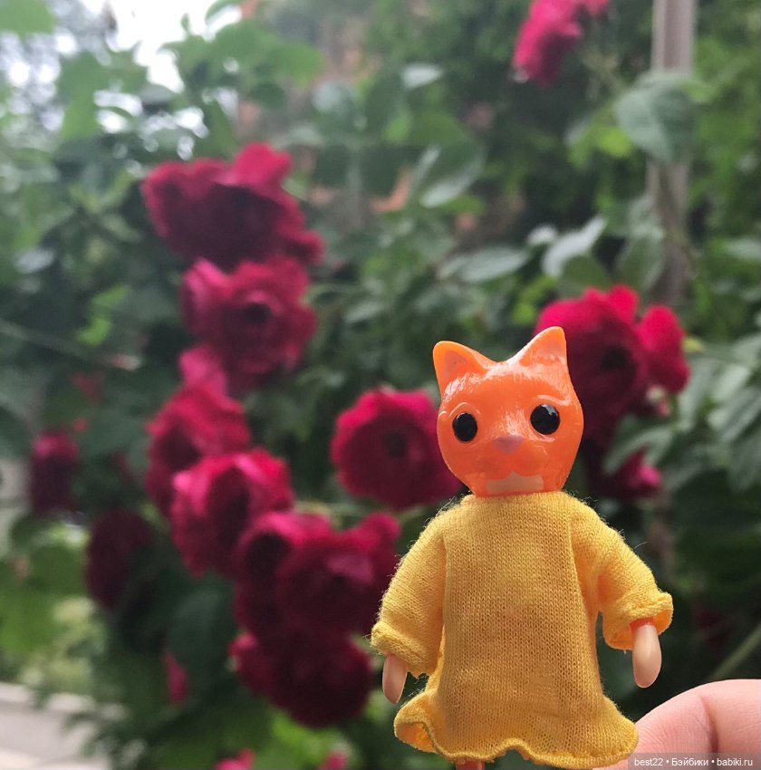 Котики от Wonder Frog — Фигурки Studio