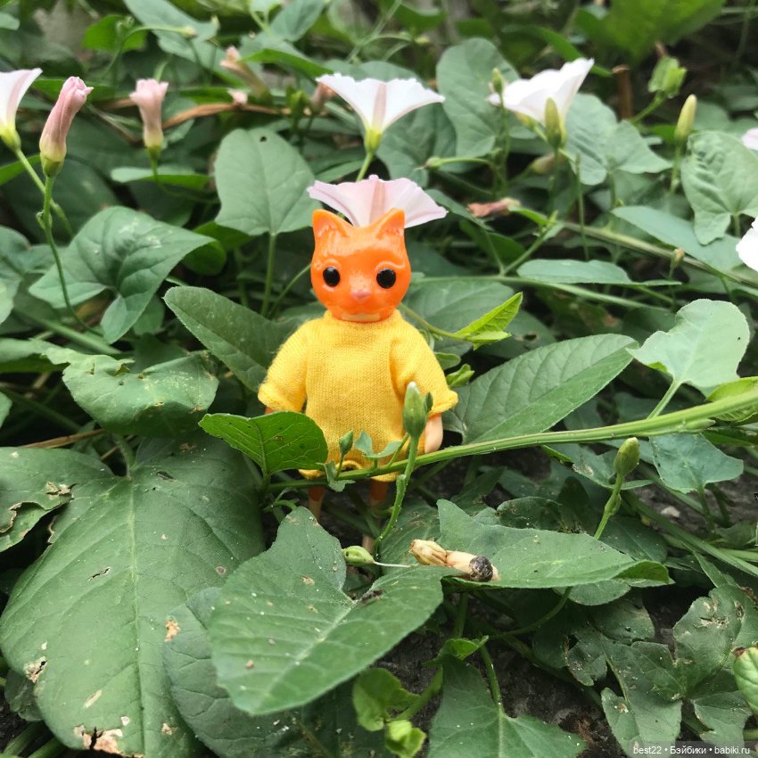 Котики от Wonder Frog — Фигурки Studio