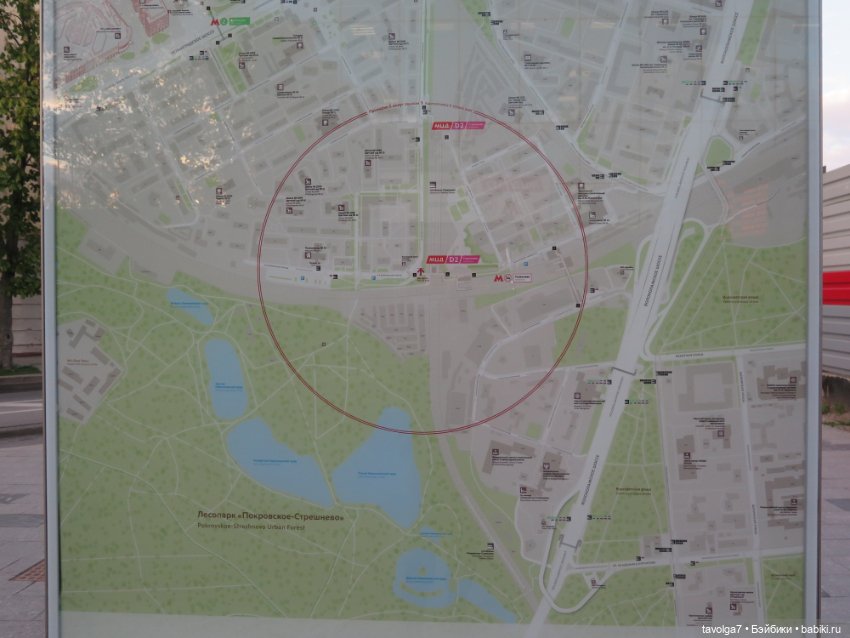 Май 2023 в Москве — Азиатские виниловые куклы (разное): Китай