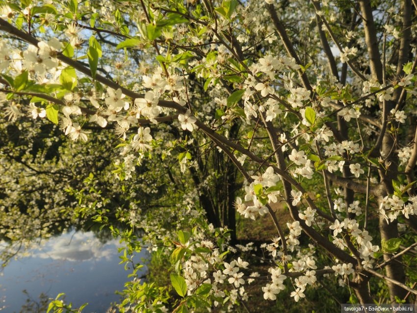 Май 2023 в Москве — Азиатские виниловые куклы (разное): Китай