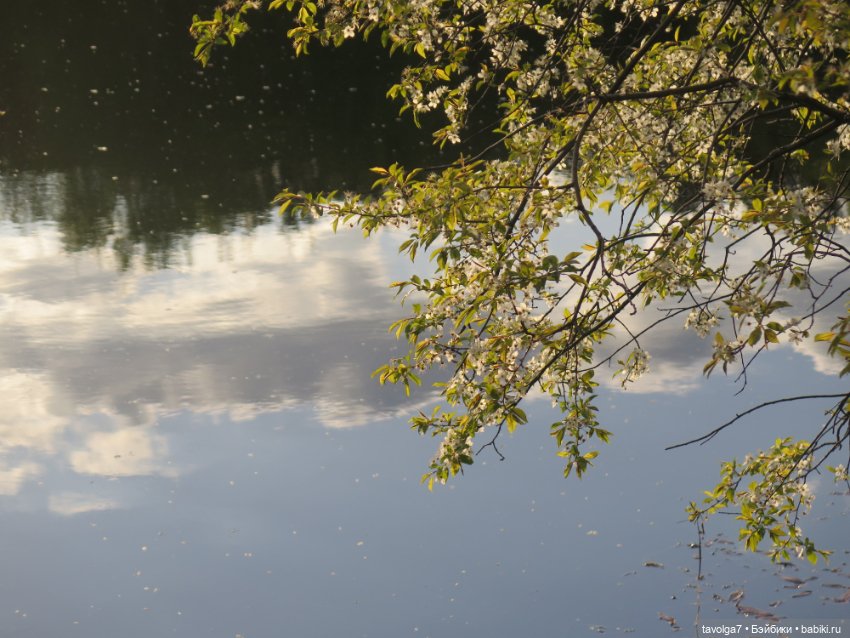 Май 2023 в Москве — Азиатские виниловые куклы (разное): Китай