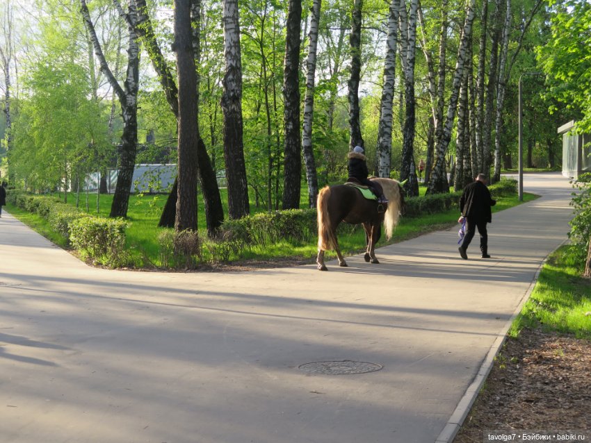Май 2023 в Москве — Азиатские виниловые куклы (разное): Китай (фото 3)