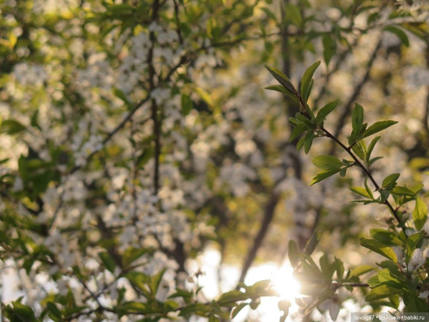 Май 2023 в Москве — Азиатские виниловые куклы (разное): Китай