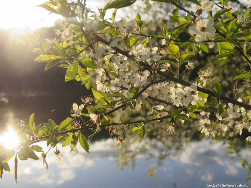Май 2023 в Москве — Азиатские виниловые куклы (разное): Китай