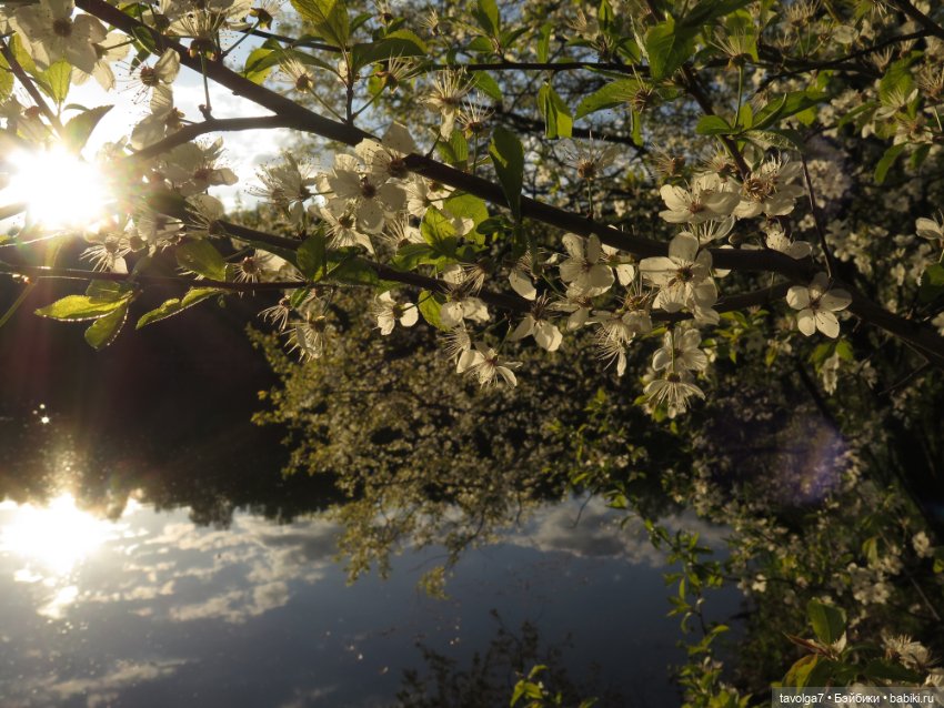 Май 2023 в Москве — Азиатские виниловые куклы (разное): Китай