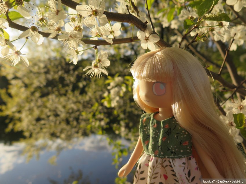 Май 2023 в Москве — Азиатские виниловые куклы (разное): Китай