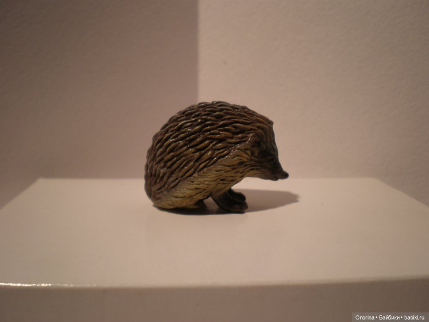 День Ежиного сопения — Домашние коллекции кукол: фото собраний