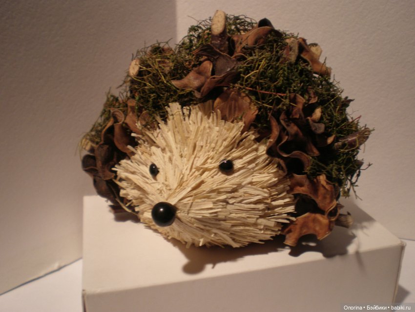 День Ежиного сопения — Домашние коллекции кукол: фото собраний