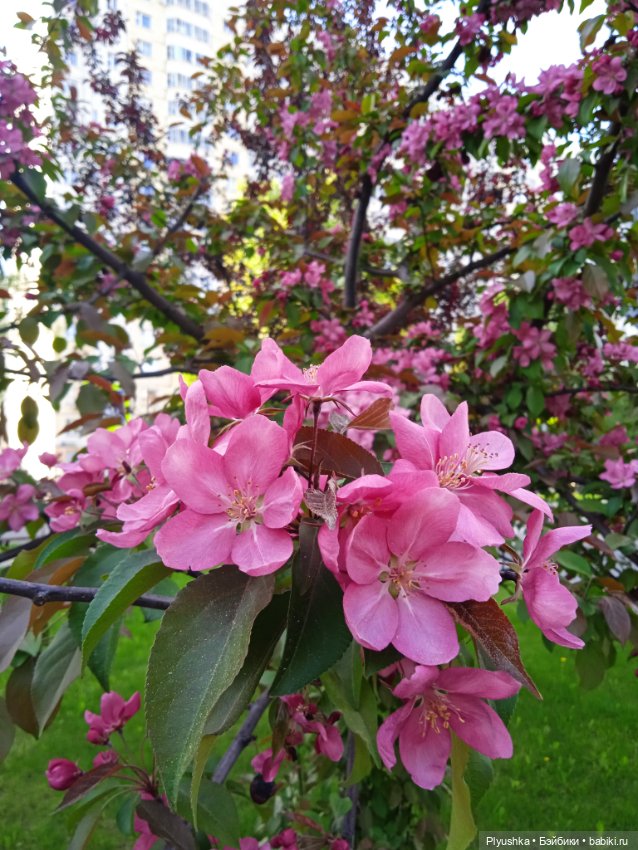 В одном цвете — Фэшн