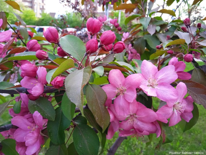 В одном цвете — Фэшн