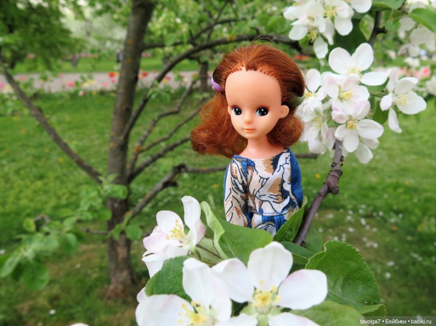 Коломенское в цвету!!!! Сезон 2023 (фото 8)