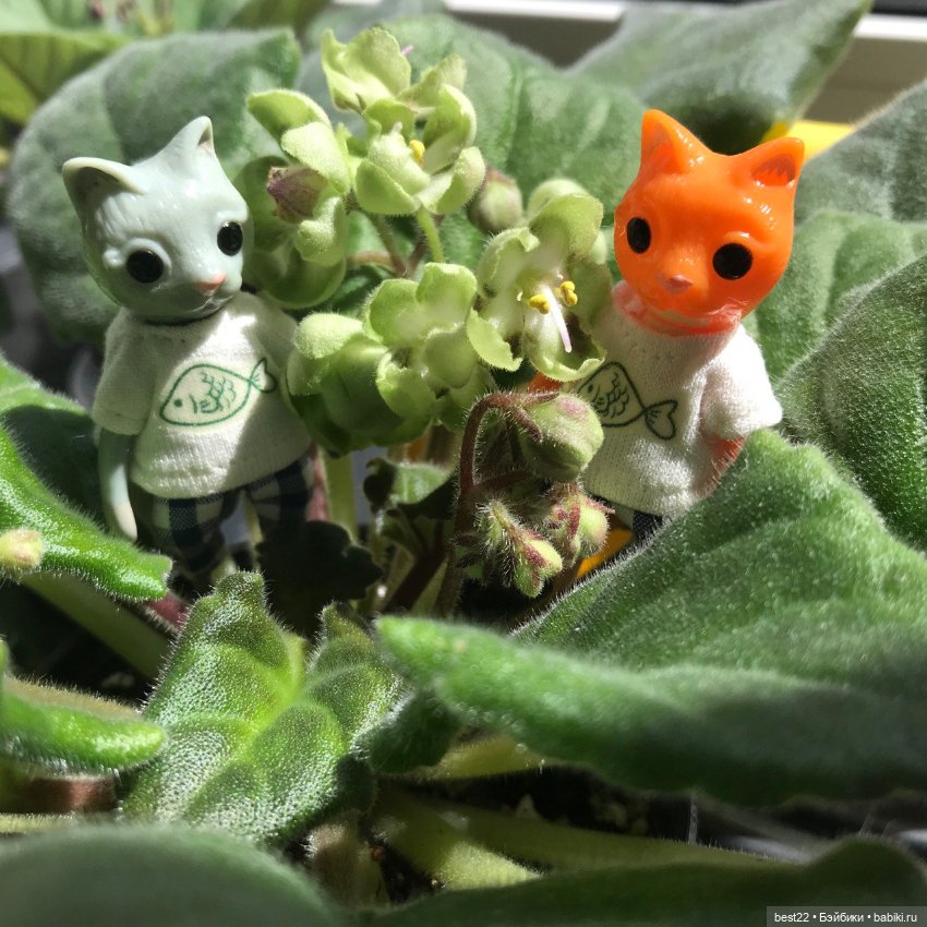 Котики от Wonder Frog — Фигурки Studio