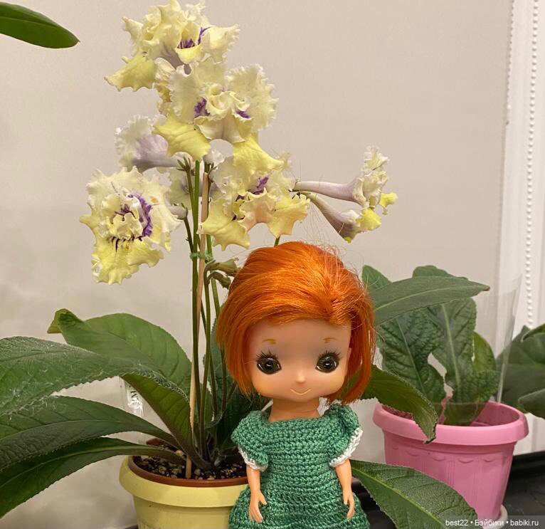 Новые фотки Лизы Kamar — Игровые куклы разных производителей (Разное): редкие бренды