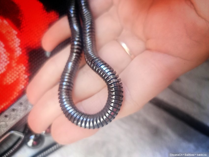 50 оттенков красного — Другие хобби и увлечения: сад (фото 3)